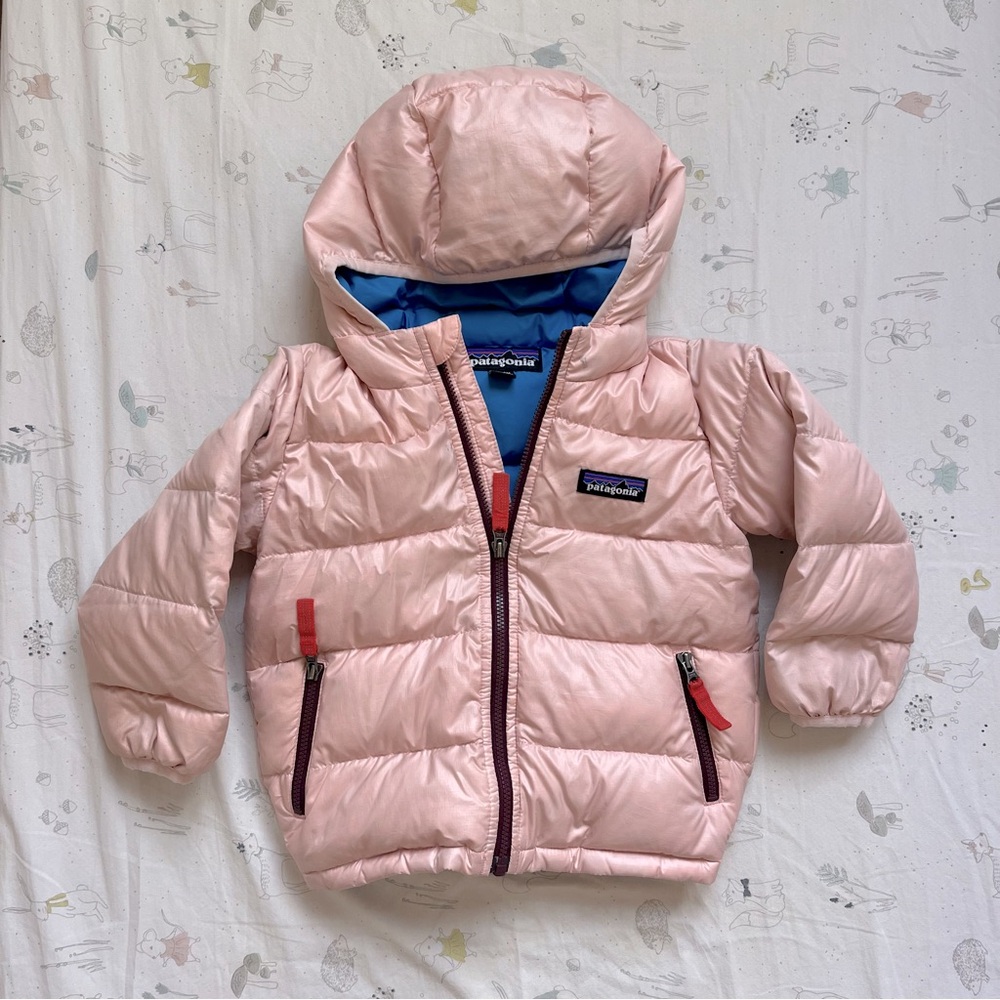 Patagonia Baby Hi-Loft Down Sweater Hoody (12-18M Pink)